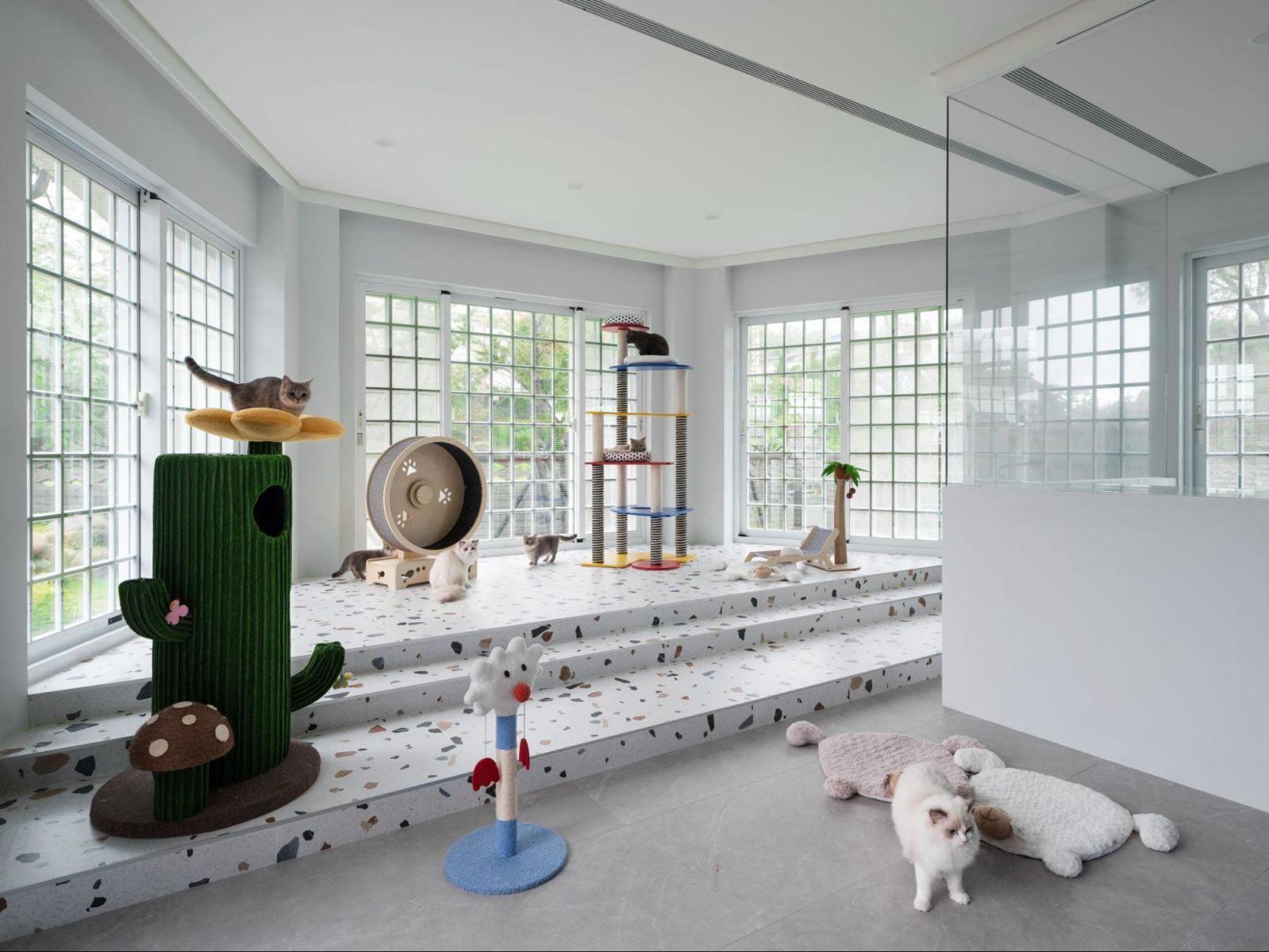 案例 3：貓爵士